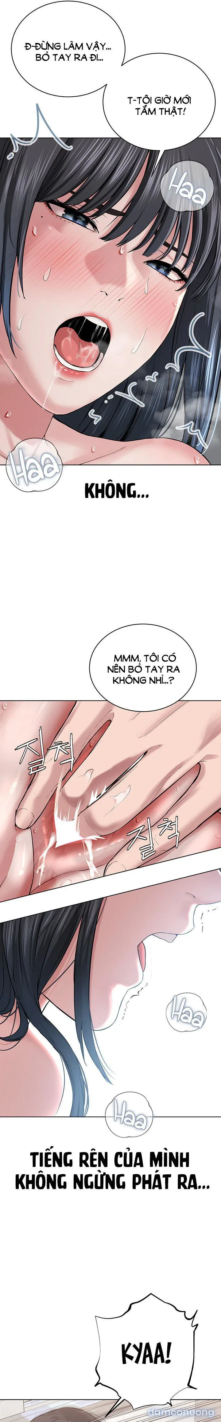 Giáo phái mới 