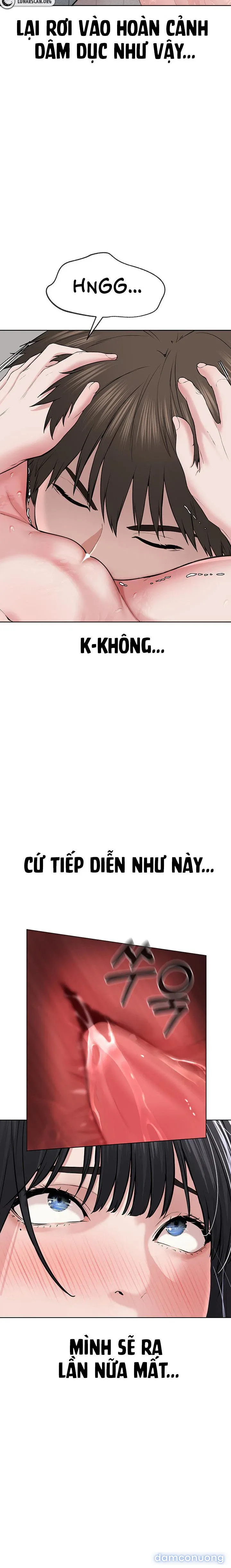 Giáo phái mới 