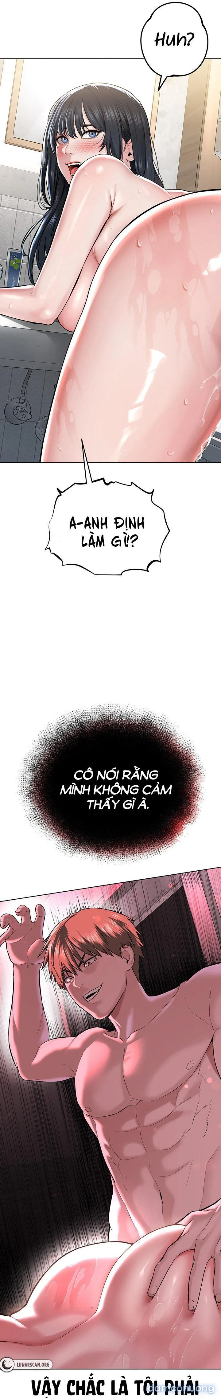 Giáo phái mới 