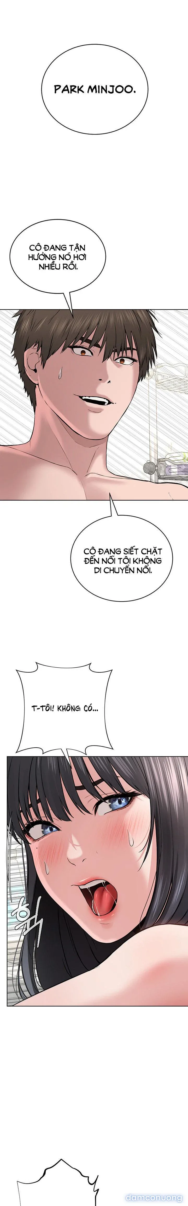 Giáo phái mới 