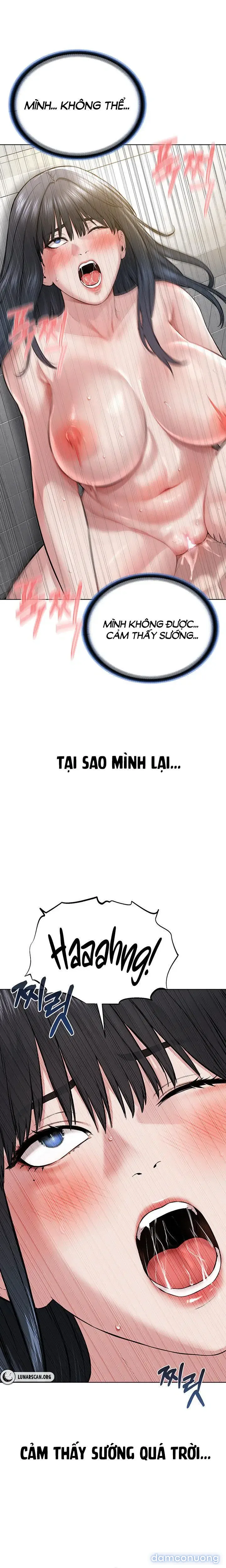 Giáo phái mới 