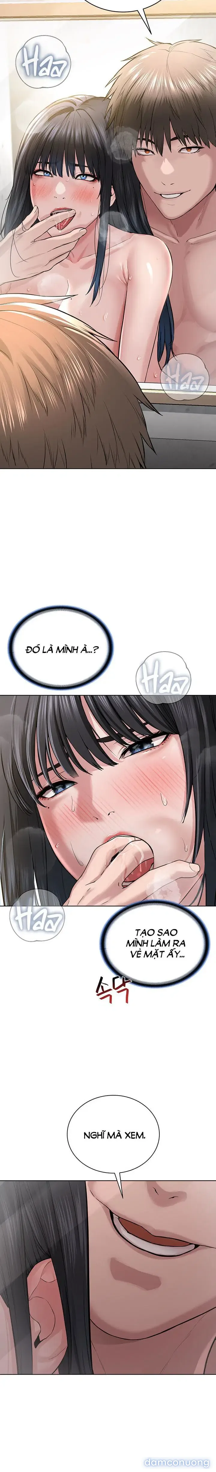 Giáo phái mới 