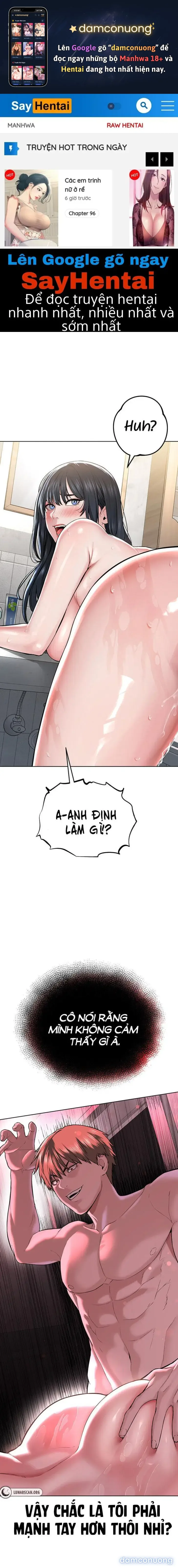 Giáo phái mới 
