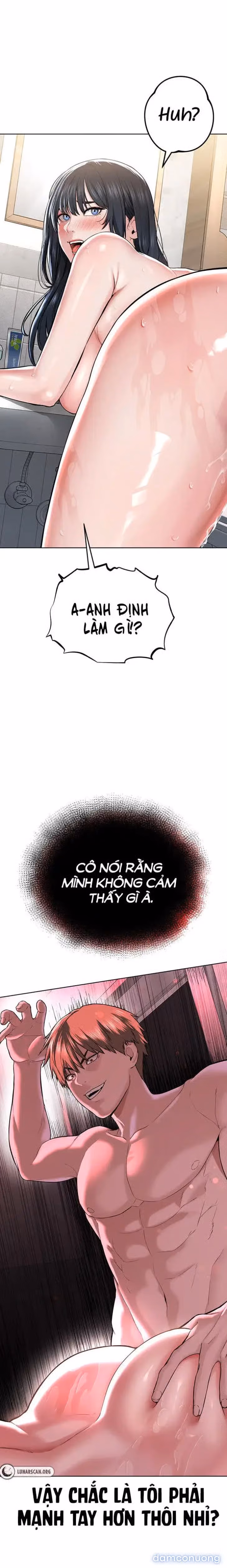 Giáo phái mới 