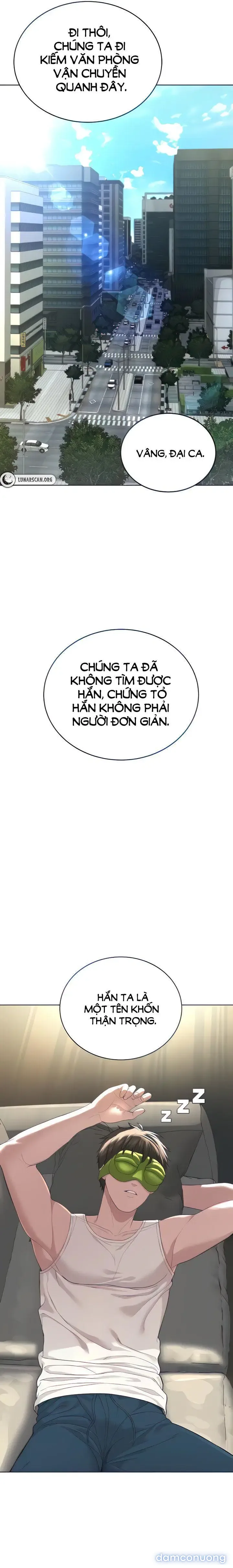Giáo phái mới 