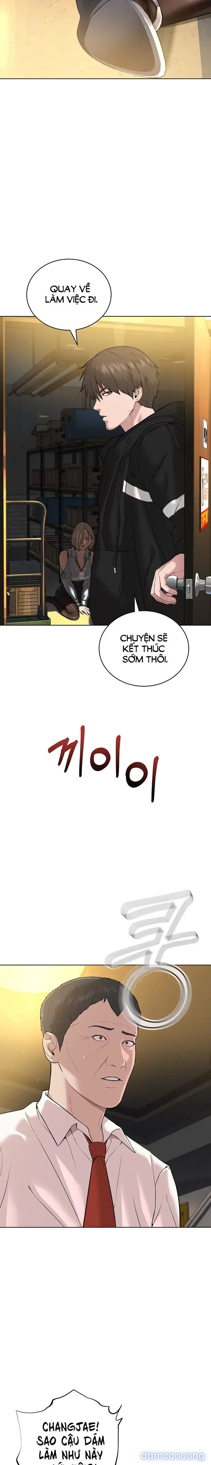 Giáo phái mới 
