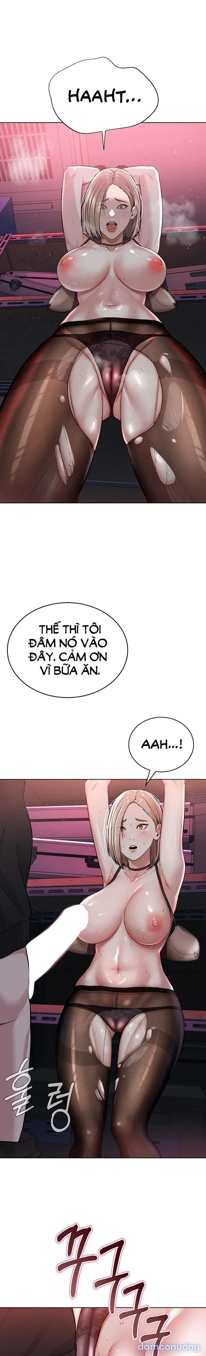 Giáo phái mới 