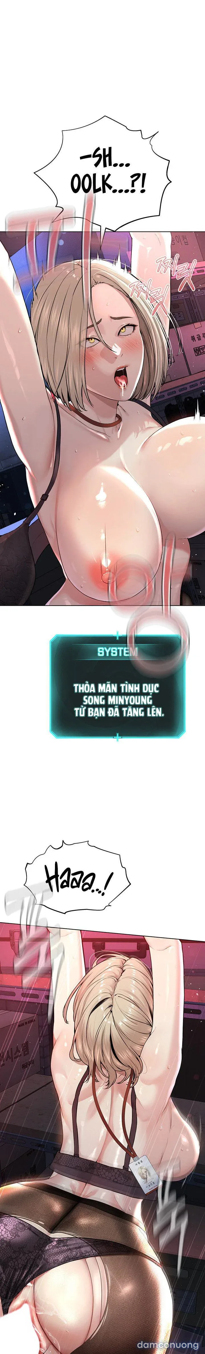 Giáo phái mới 