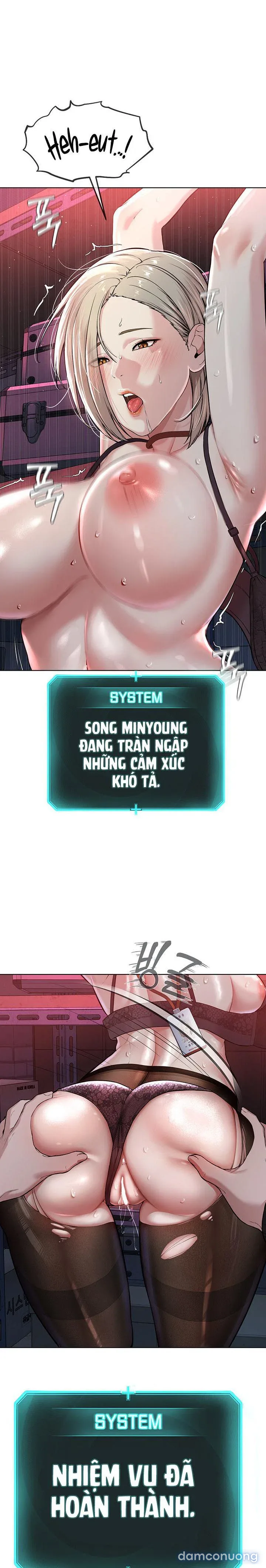 Giáo phái mới 