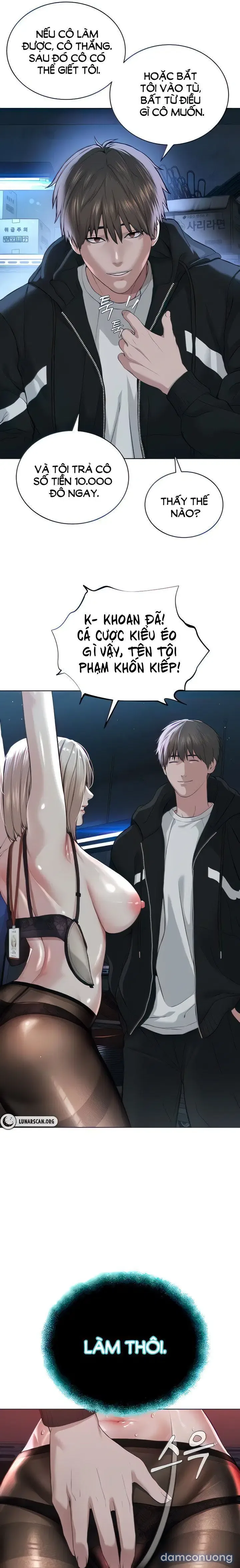 Giáo phái mới 