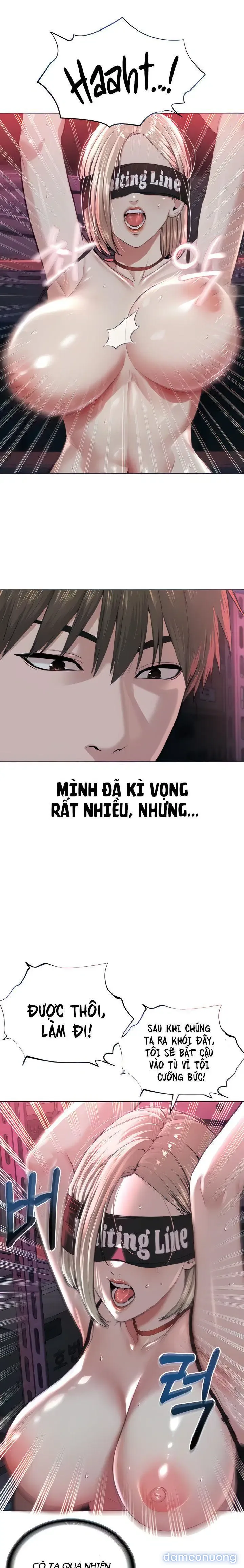 Giáo phái mới 