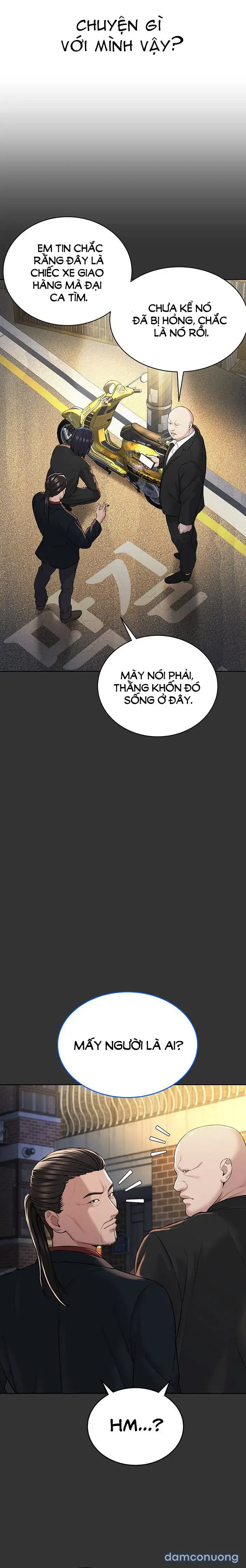 Giáo phái mới 