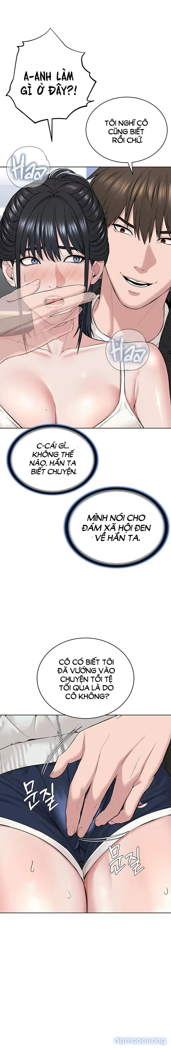 Giáo phái mới 