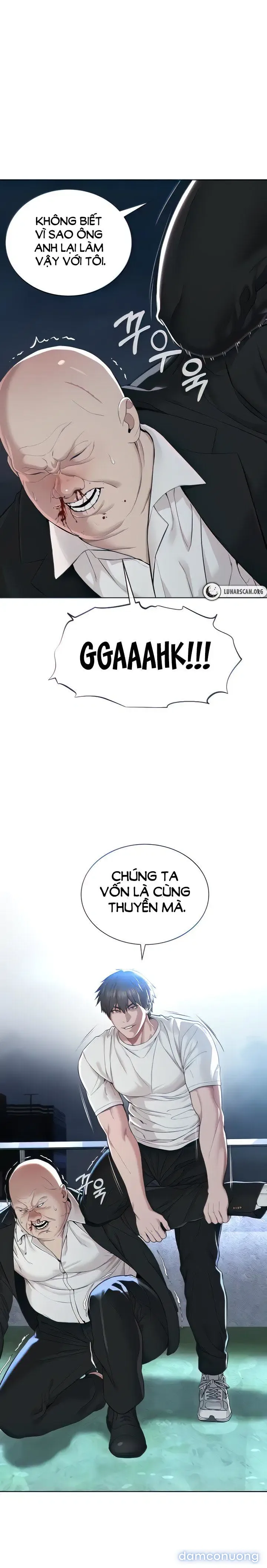 Giáo phái mới 