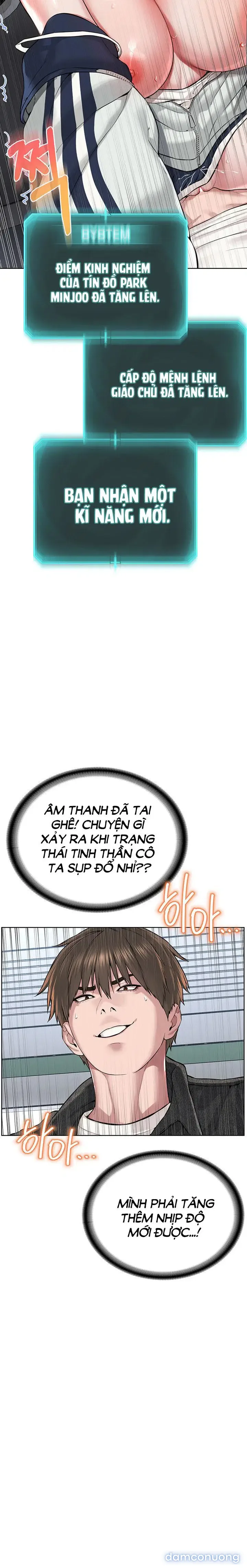 Giáo phái mới 