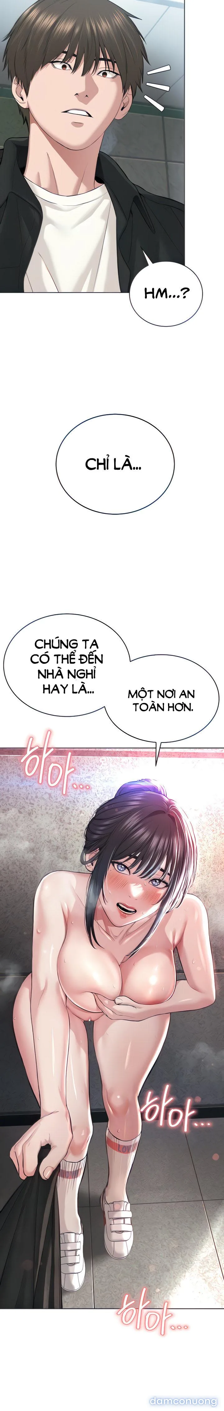 Giáo phái mới 