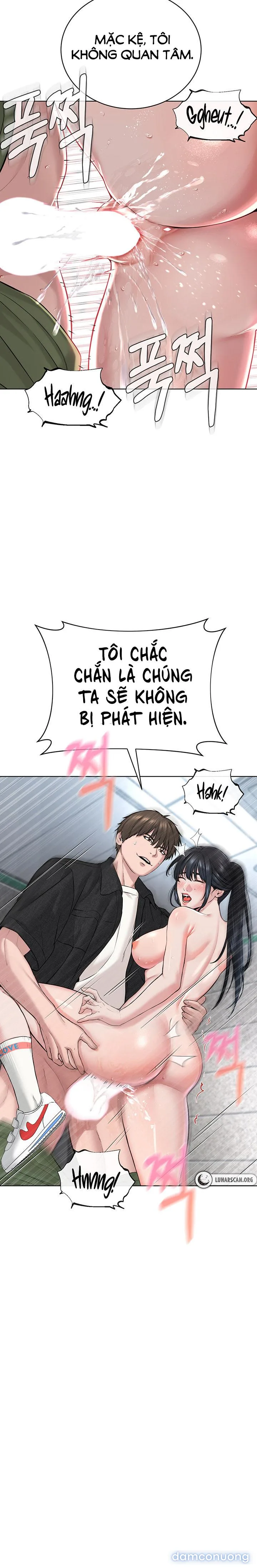 Giáo phái mới 