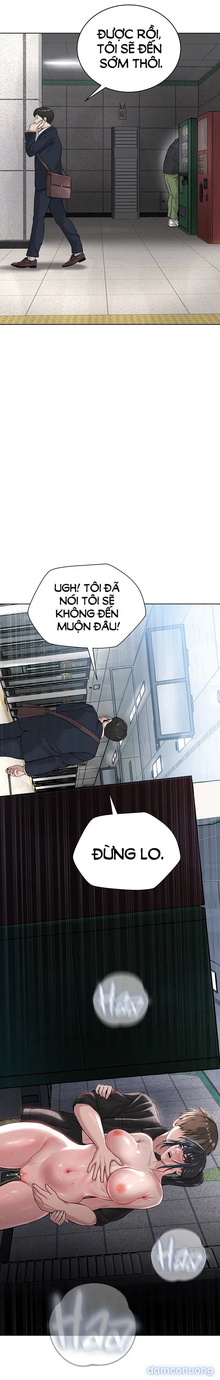 Giáo phái mới 