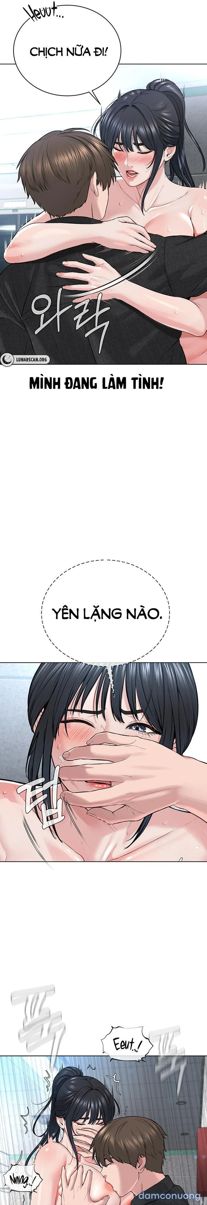 Giáo phái mới 