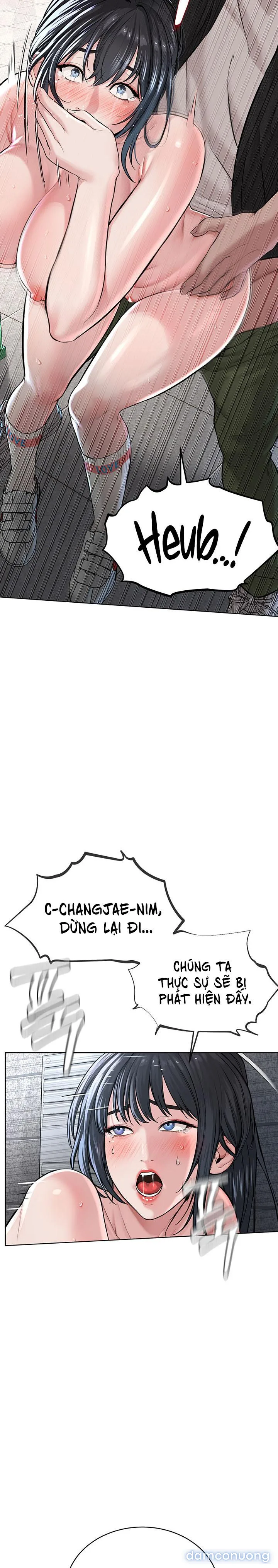 Giáo phái mới 