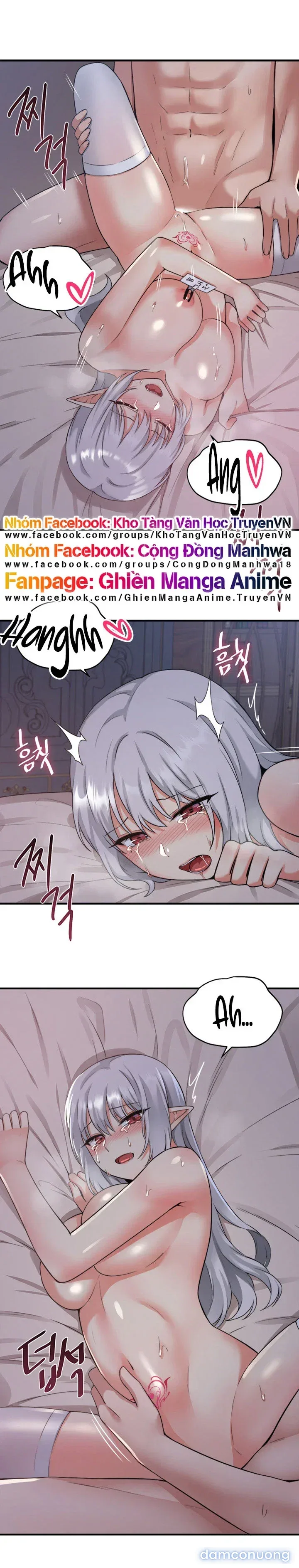 chà đạp nàng Elf dâm đãng 