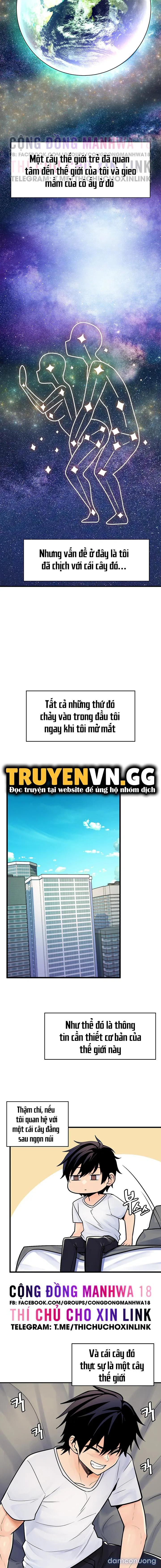 Cái cây đã biến thành bạn gái tôi lúc nào không hay 