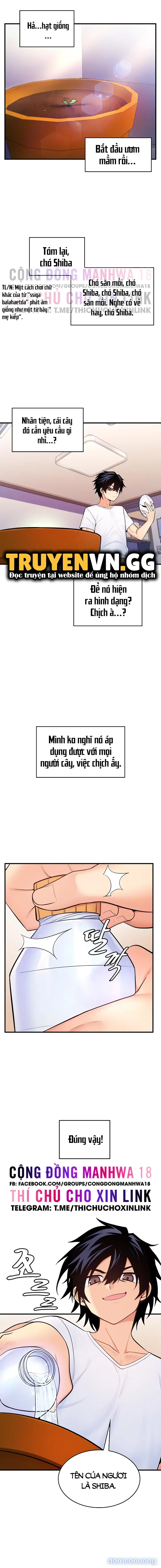 Cái cây đã biến thành bạn gái tôi lúc nào không hay 