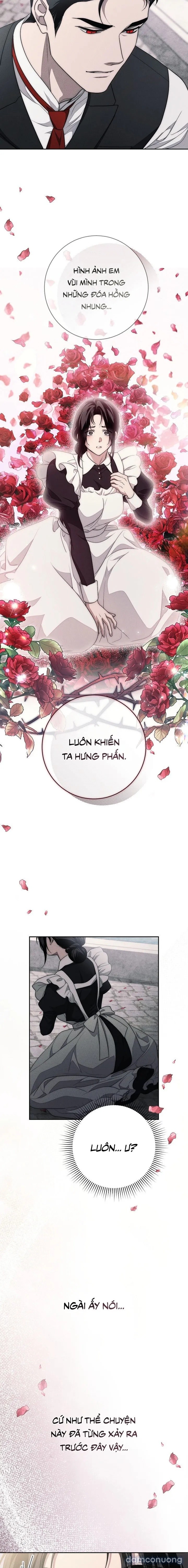 [KHÔNG CHE] [18+] Mộ Thiên Nga 