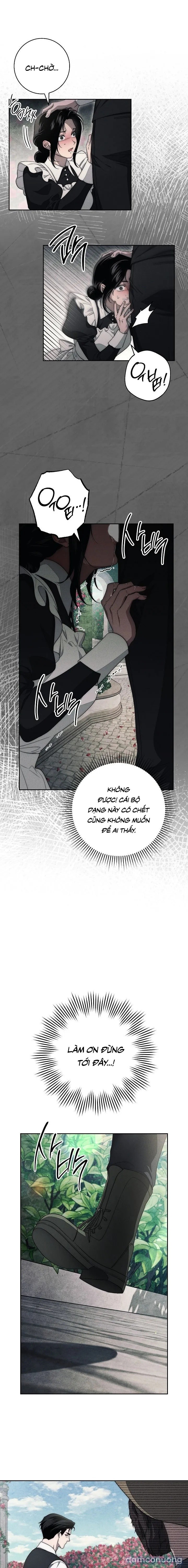 [KHÔNG CHE] [18+] Mộ Thiên Nga 