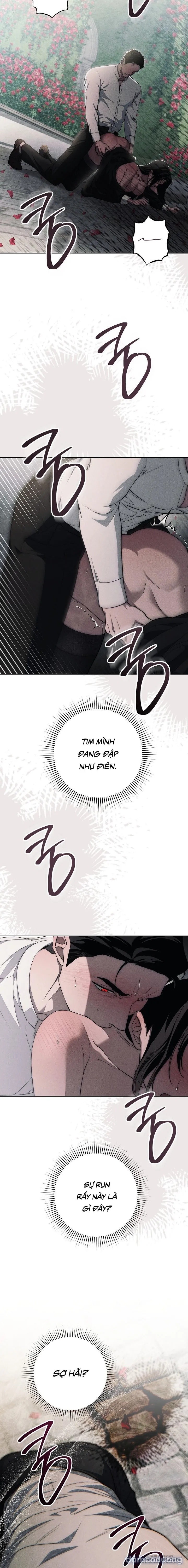 [KHÔNG CHE] [18+] Mộ Thiên Nga 