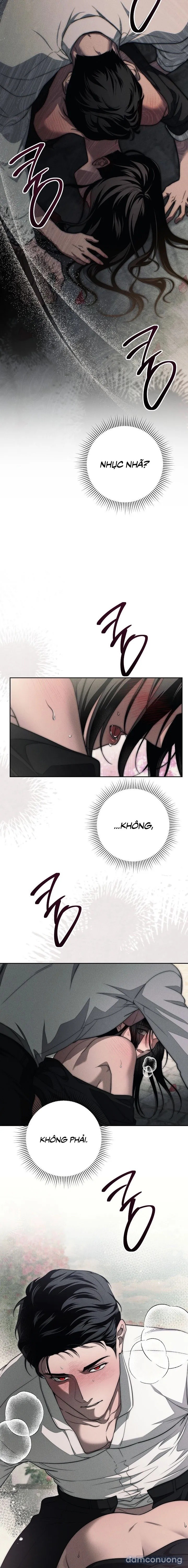 [KHÔNG CHE] [18+] Mộ Thiên Nga 