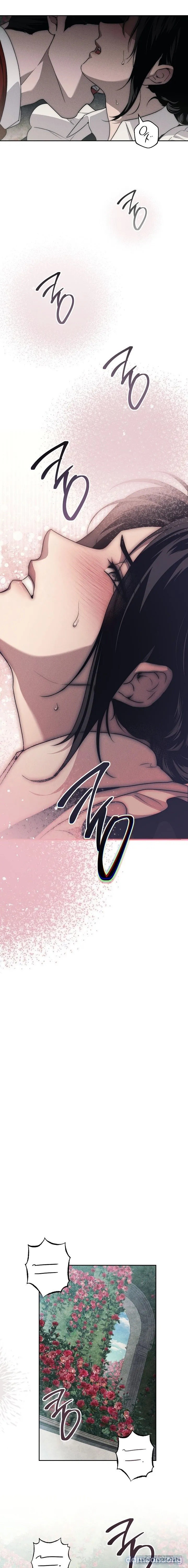 [KHÔNG CHE] [18+] Mộ Thiên Nga 