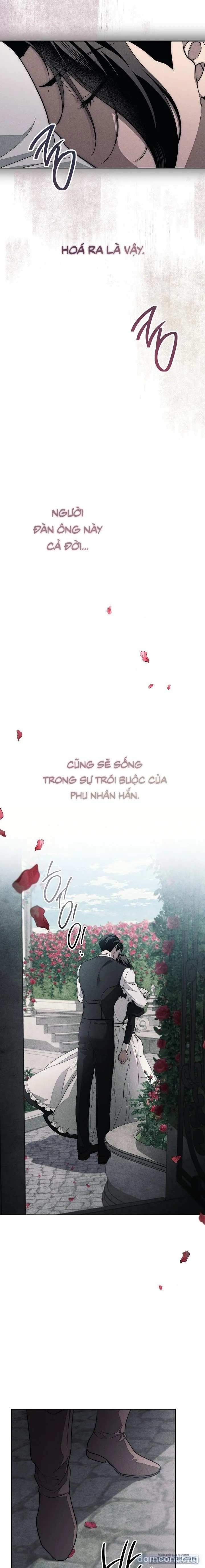 [KHÔNG CHE] [18+] Mộ Thiên Nga 