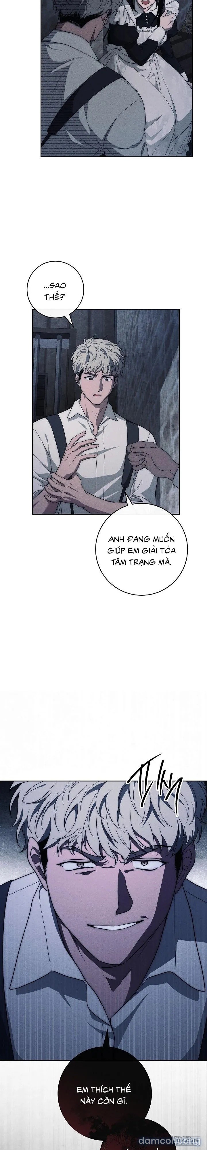 [KHÔNG CHE] [18+] Mộ Thiên Nga 