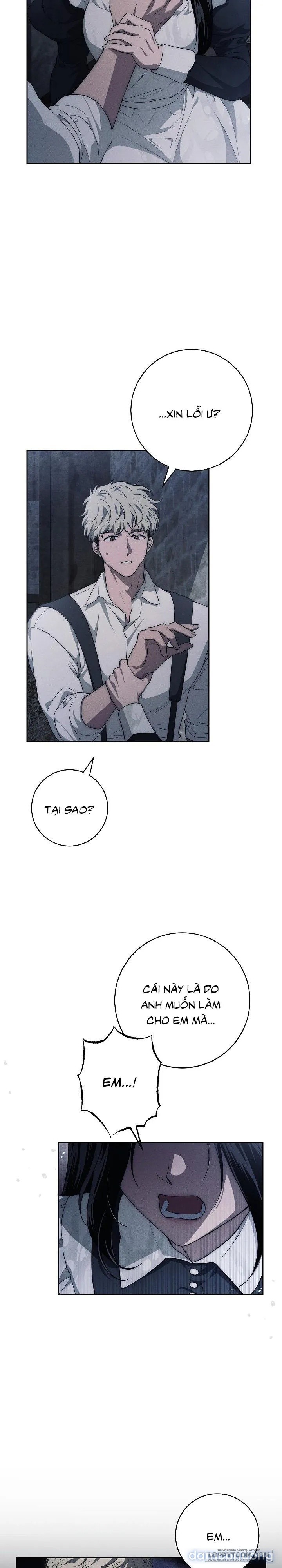 [KHÔNG CHE] [18+] Mộ Thiên Nga 
