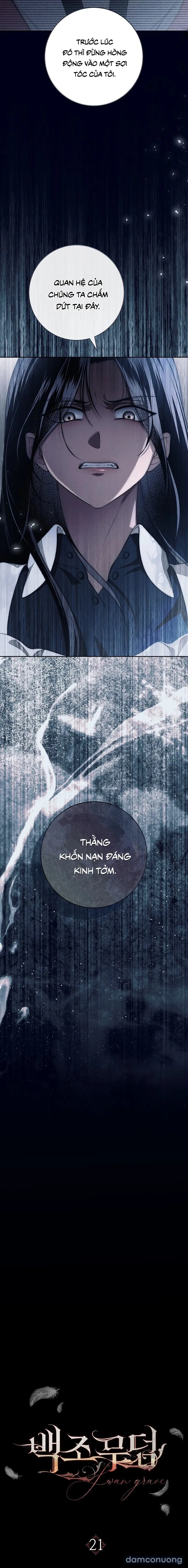 [KHÔNG CHE] [18+] Mộ Thiên Nga 