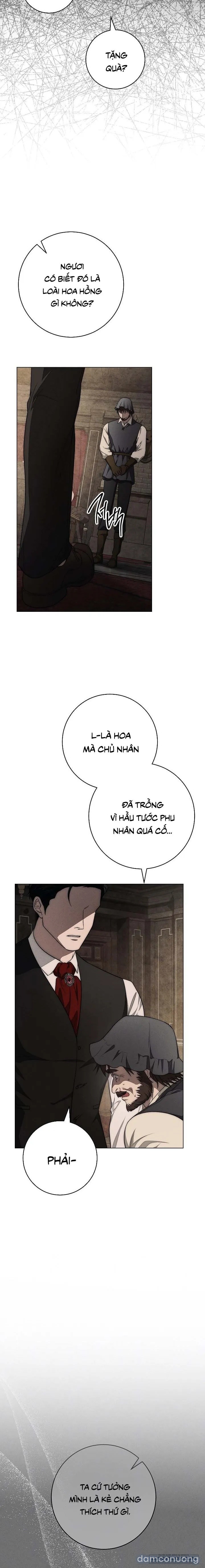 [KHÔNG CHE] [18+] Mộ Thiên Nga 