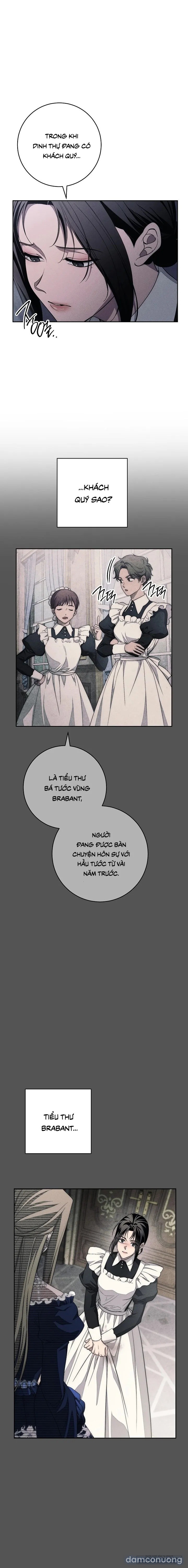 [KHÔNG CHE] [18+] Mộ Thiên Nga 