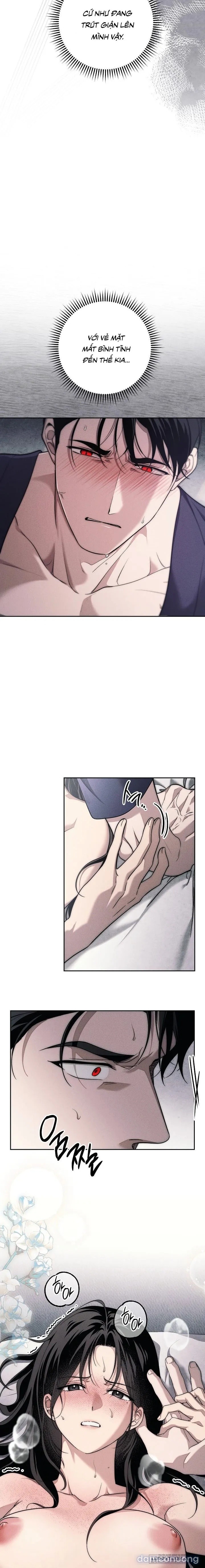 [KHÔNG CHE] [18+] Mộ Thiên Nga 
