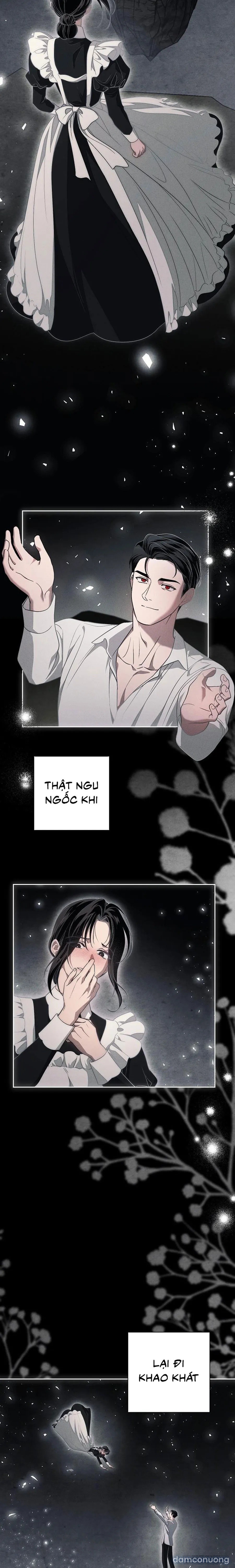 [KHÔNG CHE] [18+] Mộ Thiên Nga 