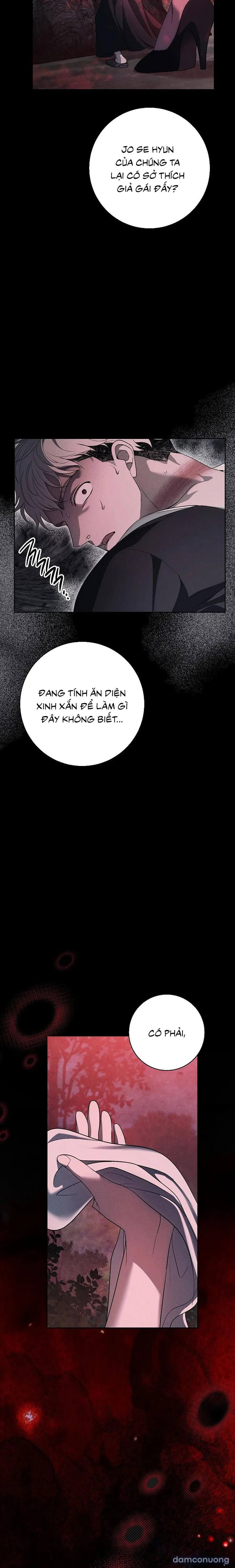 [KHÔNG CHE] [18+] Mộ Thiên Nga 