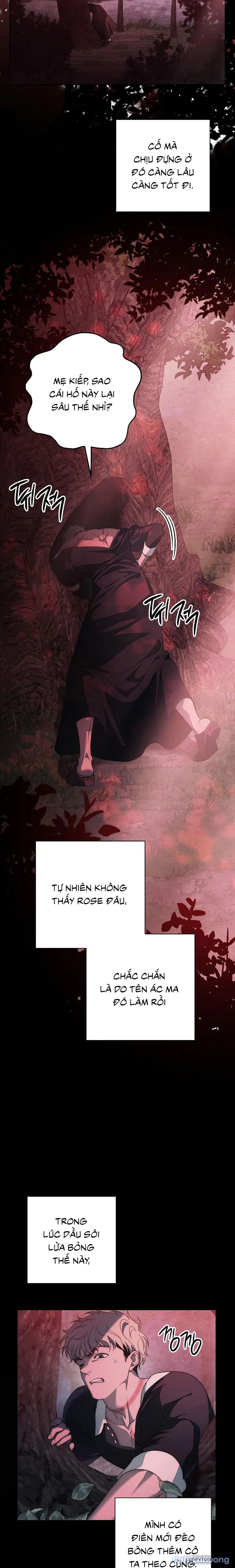 [KHÔNG CHE] [18+] Mộ Thiên Nga 