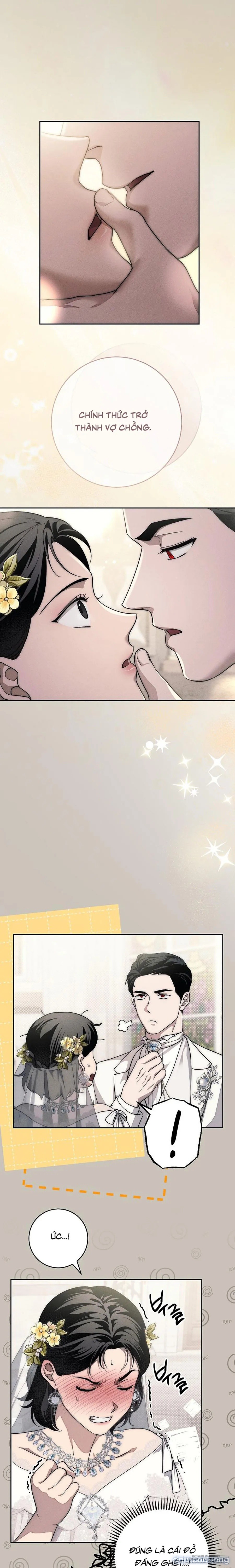 [KHÔNG CHE] [18+] Mộ Thiên Nga 
