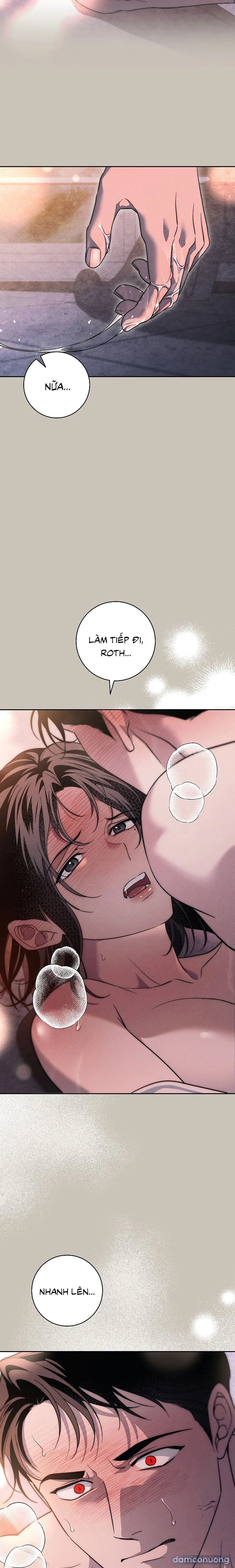 [KHÔNG CHE] [18+] Mộ Thiên Nga 