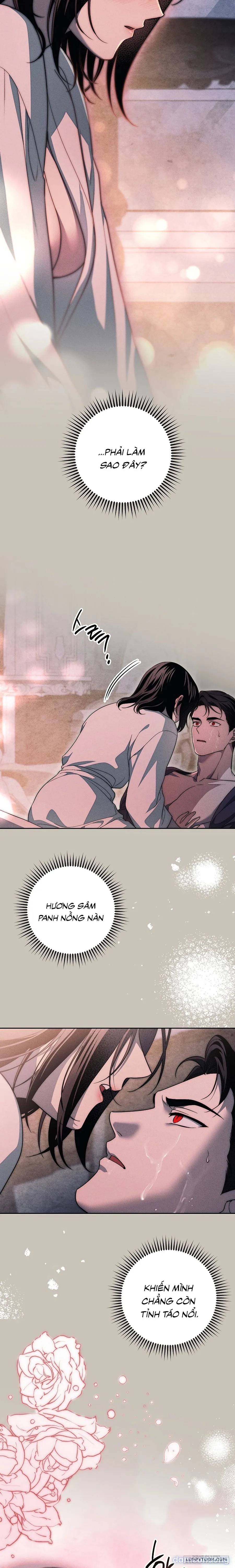 [KHÔNG CHE] [18+] Mộ Thiên Nga 