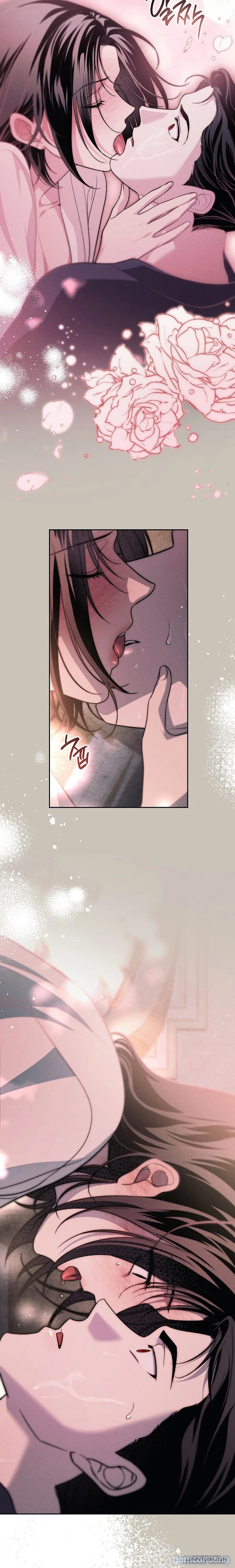 [KHÔNG CHE] [18+] Mộ Thiên Nga 