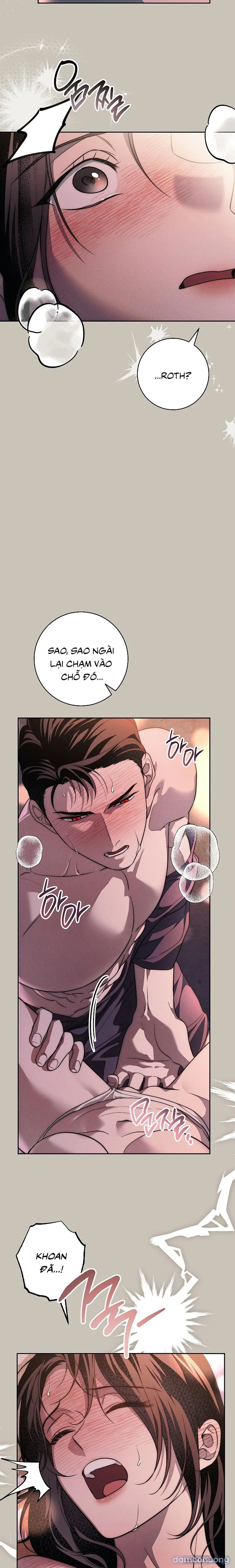 [KHÔNG CHE] [18+] Mộ Thiên Nga 