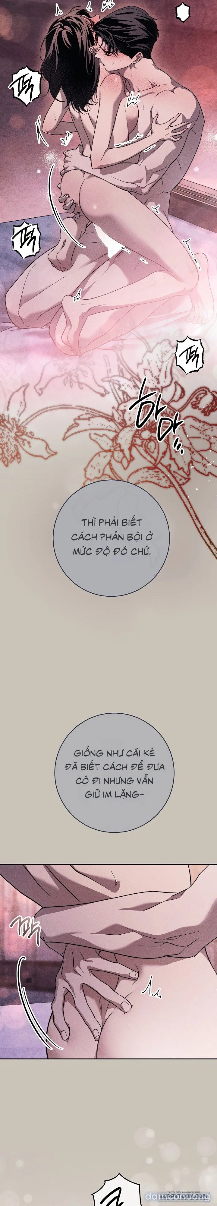 [KHÔNG CHE] [18+] Mộ Thiên Nga 