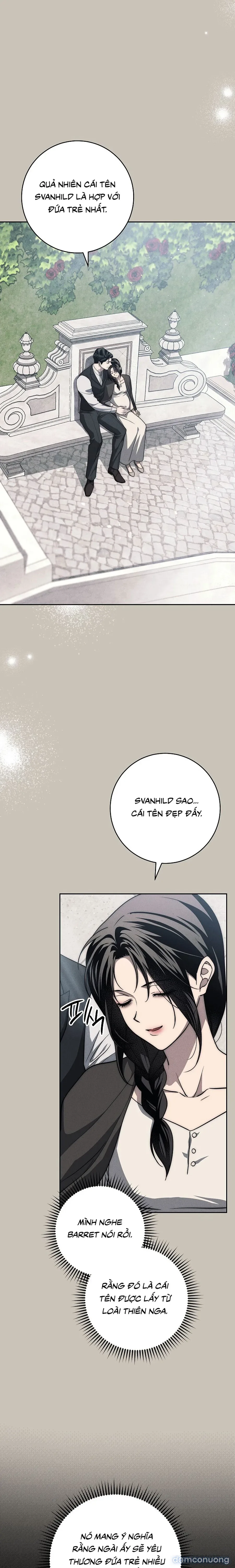 [KHÔNG CHE] [18+] Mộ Thiên Nga 