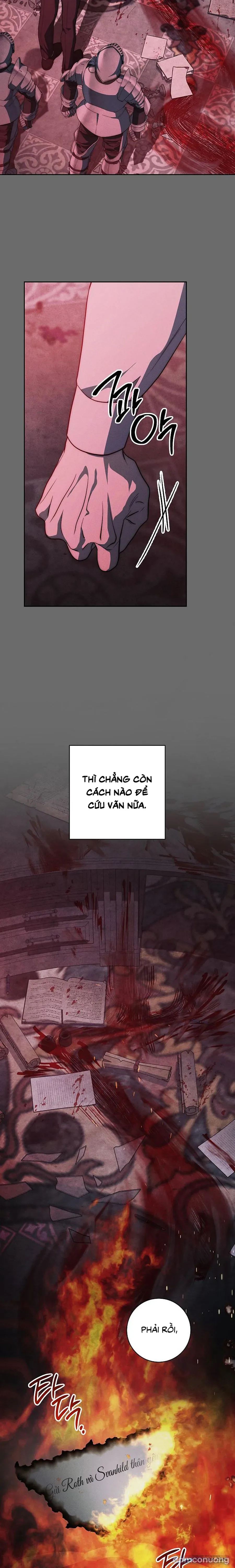 [KHÔNG CHE] [18+] Mộ Thiên Nga 